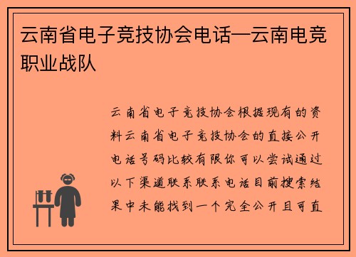 云南省电子竞技协会电话—云南电竞职业战队